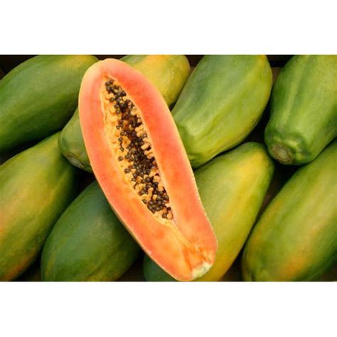 Fresh Papaya At Rs 25 Kilogram Katraj Pune ID 14994164630