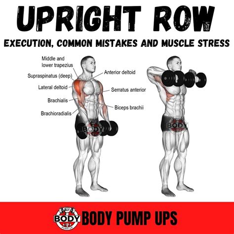 Dumbbell Upright Row The Upright Row Is An Excellent Exercise To Build