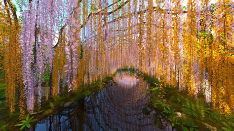 Garden Of A Wisteria Trellis And The Pond Stock Image Image Of Pond
