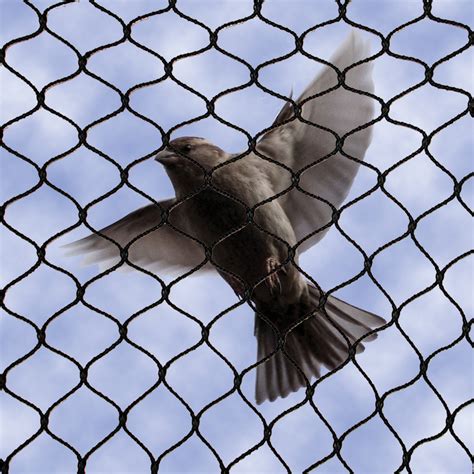 No Knot Bird Netting Pigeon Nets Bird B Gone