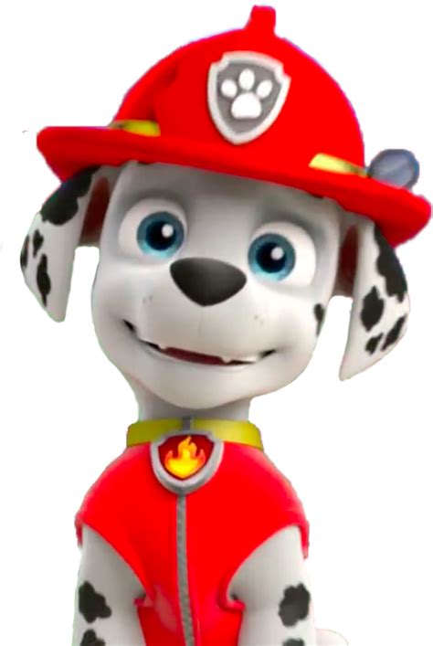 Download Hd Paw Patrol Marshall Png Transparent Png Image