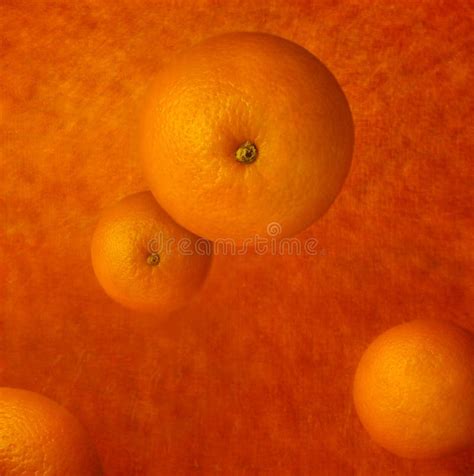 Four Oranges Background Illustration Stock Photo Image Of