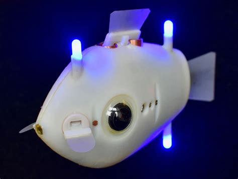 Fish Inspired Soft Robot Survives A Trip To The Deepest Part Of The
