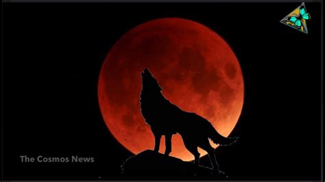 Is The Super Blood Wolf Moon A Harbinger Of Doom Prophecy