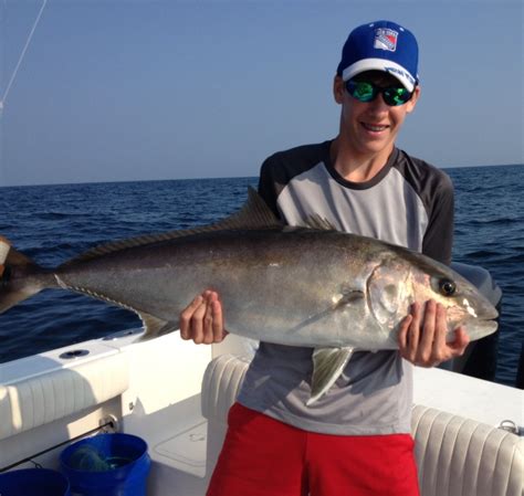 50 Lb Amberjack Caught Off The Coast Of Charleston Sc Rfishing