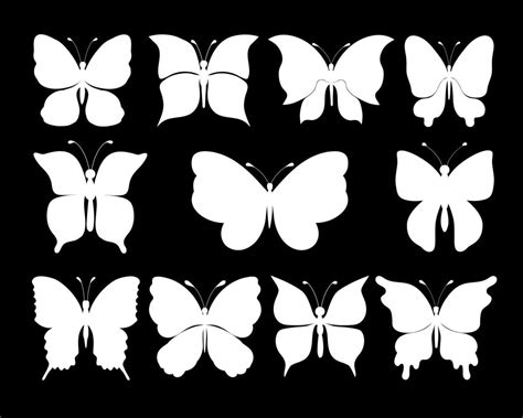 Définir Des Silhouettes De Papillons 11 Silhouettes Blanches Sur Fond