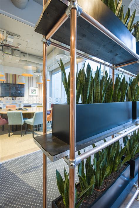The Benefits Of Biophilic Design In The Workplace Pla