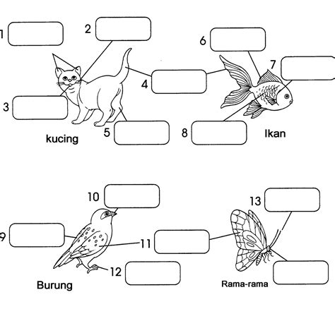 Suaikan haiwan dengan cara pembiakannya. DUNIA SAINS DAN TEKNOLOGI TAHUN 1: Lembaran Kerja 2