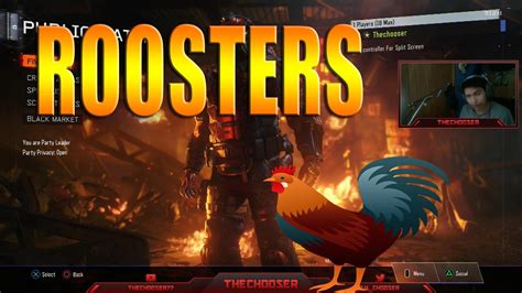 Check spelling or type a new query. Can Roosters Lay Eggs? - YouTube