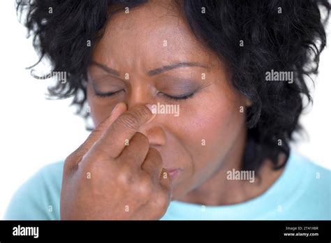 Sinus Hi Res Stock Photography And Images Alamy