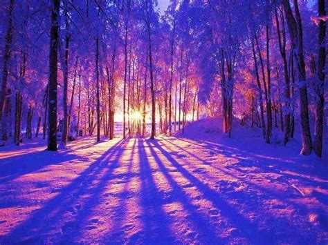 Beautiful Sunny Snowy Scene Love The Colors Beautiful