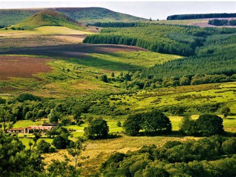 Dalby Forest And Bridestones Loop — North York Moors National Park