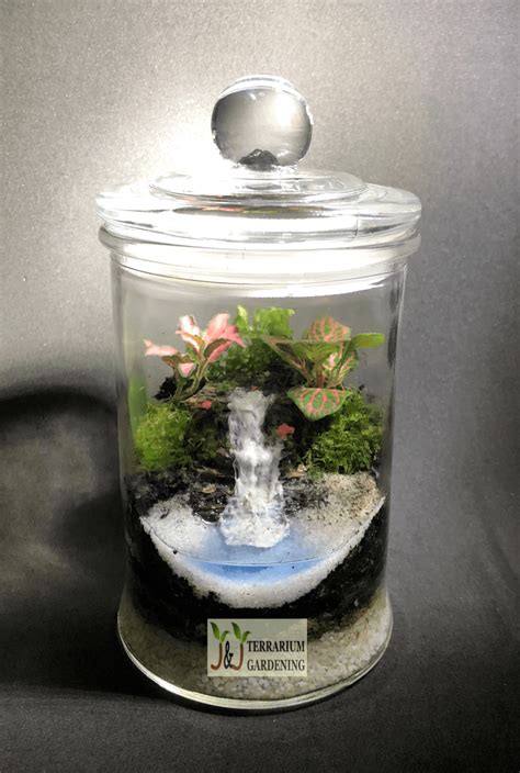 Waterfall Terrarium A | J&J Terrarium Gardening | Singapore | Terrarium, Mini waterfall ...