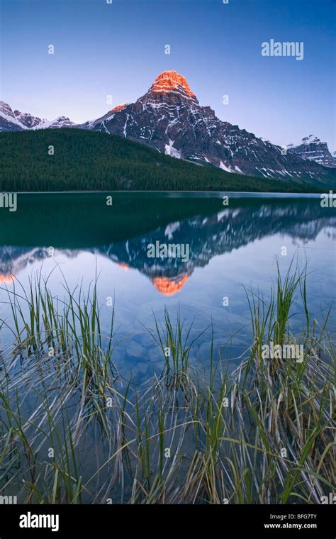 Mount Chephren Is Reflected In Water Fowl Lake Along The Icefields