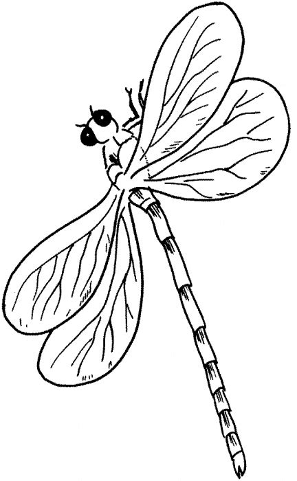 Fresh dragonfly coloring page 72 with additional picture coloring. Dragonfly coloring page - Animals Town - animals color ...