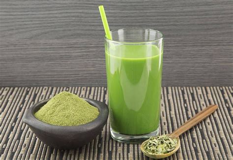 15 Amazing Health Benefits Of Moringa Juice For Everyone That Facts You Never Known By Sohail