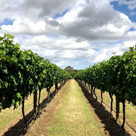 Hedera Estate Wine Gumeracha Sa 5233 Australia