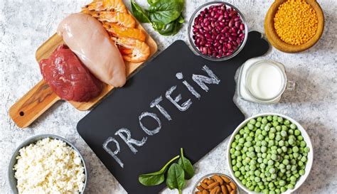 Impatto Del Tipo Di Proteina Alimentare Animale Vs Vegetale Nella