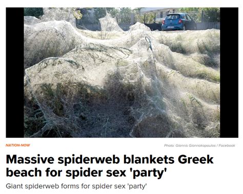 European Spider Beach Sex Party Rspiders