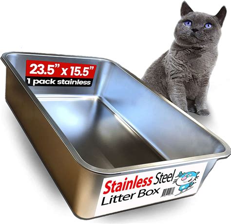 The 8 Best Cat Litter Boxes