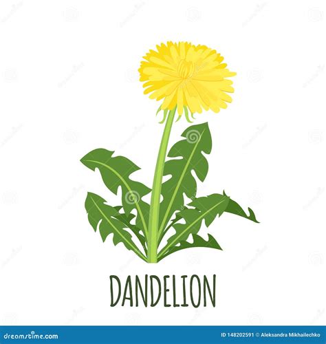 Dandelion Icon In Flat Style Isolated On White Stock Vector