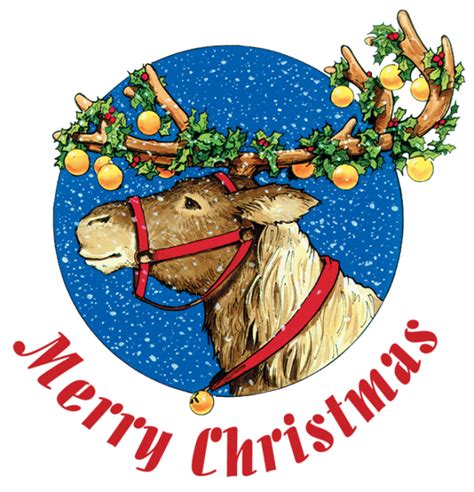 Christmas-Reindeer.png (640×665) | Santa and his reindeer, Reindeer, Christmas moose
