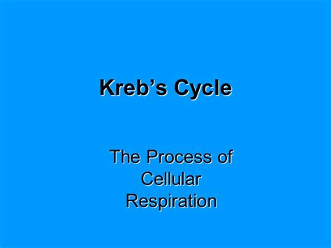Today i want to share some free cellular respiration worksheets with you. 91 Cellular Respiration An Overview Worksheet Answers ...