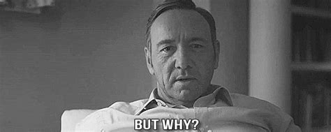 Why are you the way that you are gif. But Why GIFs - Find & Share on GIPHY