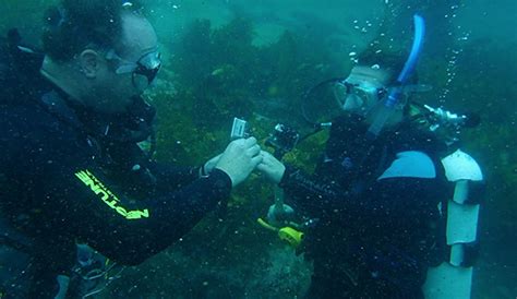 An Amazing Underwater Proposal Engagement 101