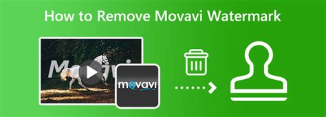 How To Remove Movavi Watermark From Your Videos On Your Pc