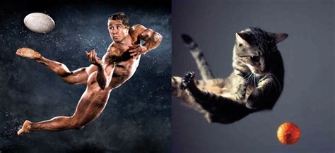 Photos Of Sexy Men And Cute Kittens In Matching Poses