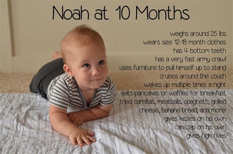 The Adventure Starts Here Happy 10 Months Noah