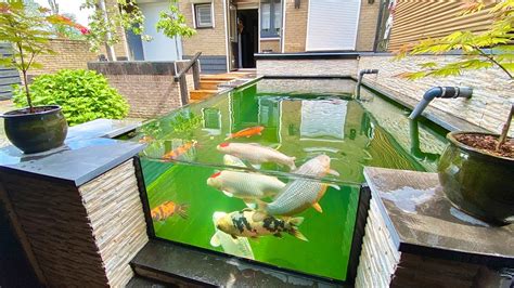 Great KOI POND Design with GLASS *Automatic Filtration Lift - YouTube