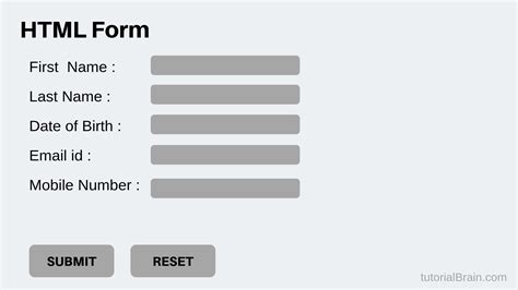 Html Forms Tutorial — How To Create Forms In Html — Tutorialbrain