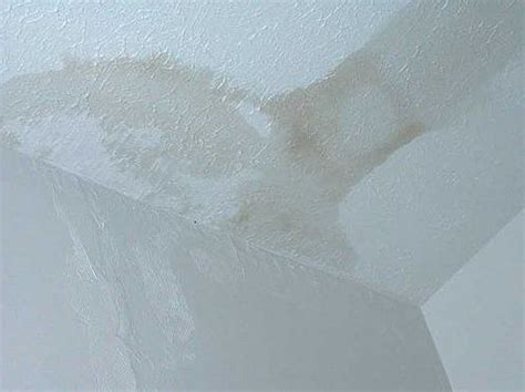 In some cases, water damage to your home will be visible. Ceiling Specialists: What to do with water damage in your ...