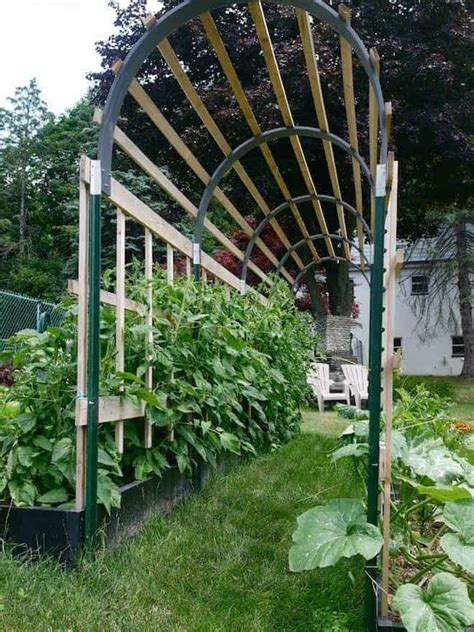 Our wrought iron garden structures for sale decorate your garden and give a solid, metal support for plants. Amazing Vertical Gardening Ideas | Family Food Garden