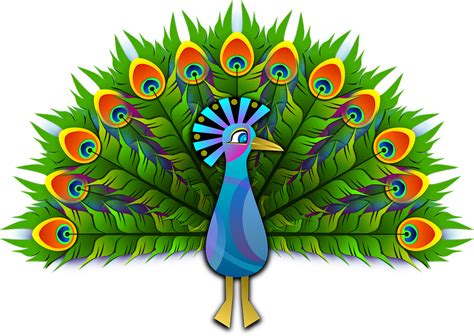 Peacock Png Peacock Feather Peacock Animal Bird Download Free