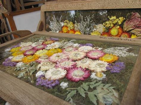 Here's how to get the most out of your cut flowers. Using Dried or Pressed Flowers to Make Spring Last All ...
