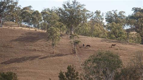 These include no mixing between households or support bubbles, continuing to follow the rule of six when socialising outside and those that can work. Lower Hunter to face tighter water restrictions in matter ...