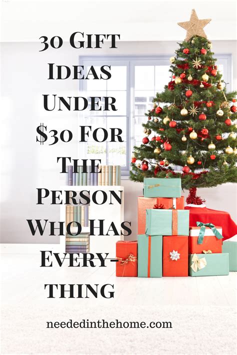 30 T Ideas Under 30 For The Person Who Has Everything
