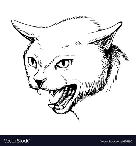 Angry Cat 1 Royalty Free Vector Image Vectorstock