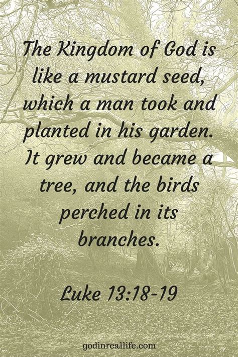 The Kingdom Of God Is Like A Mustard Seed Which A Man Took And Planted