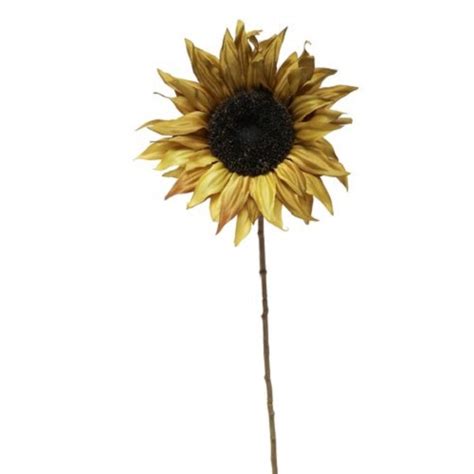 Check spelling or type a new query. 10 Mesmerizing Sunflower Kitchen Decor Theme Under $75