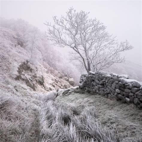 Woodland And Landscape Photography By Simon Baxter In North Yorkshire