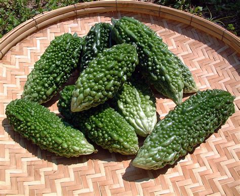 Top 10 Health Benefits Of Karela Bitter Melon Juice