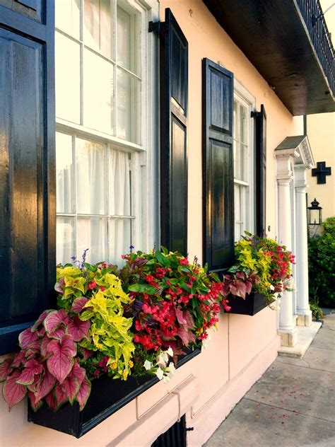 (see also city and urban. Window Boxes on East Battery, Charleston, SC © Doug Hickok ...