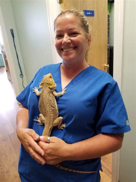 The house rental has been updated and features a modern spacious open floor plan and heated pool with lanai. Patient Photo Gallery - Island Pet Veterinary Hospital ...