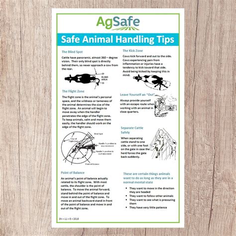 Safe Animal Handling Agsafe