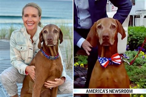 Americas Dog Jasper Dies From Fast Spreading Cancer Aged 9 Fox News