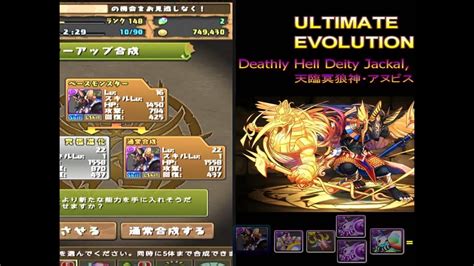 Puzzle And Dragons 天臨冥狼神・アヌビス Ultimate Evolution Gameplay 27 Youtube